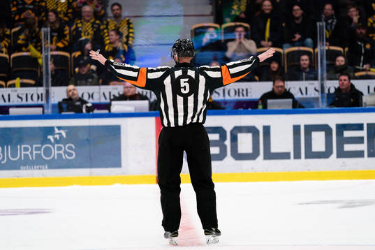 Domare Daniel Eriksson