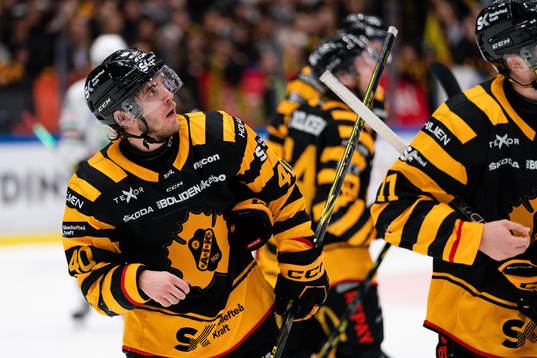 Skellefteå AIKs Andreas Wingerli