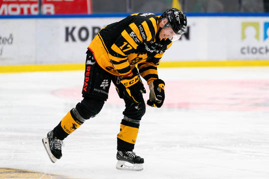 Skellefteå AIKs Pär Lindholm