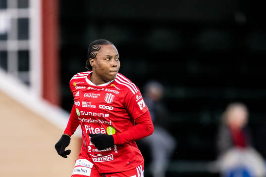 Piteås Faith Ikidi Michael