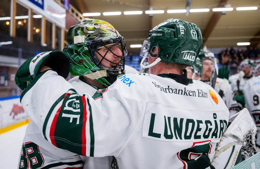 Tingsryds målvakt Tomas Ryden och Jacob Lundegård jublar