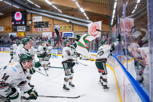 Tingsryds spelare jublar
