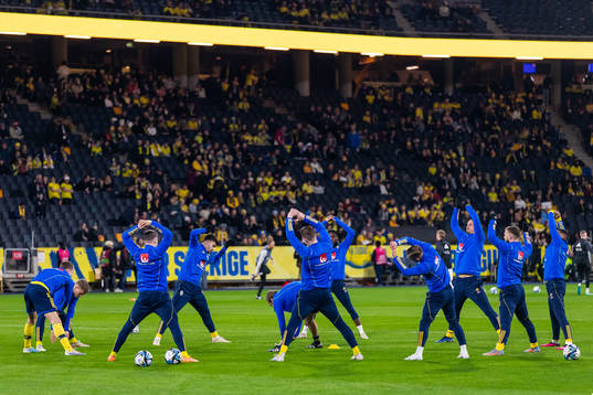 Players of Sweden