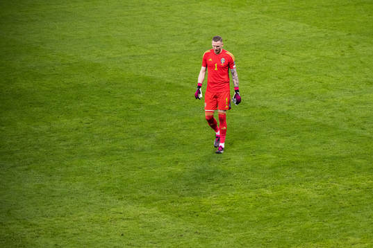 goalkeeper Robin Olsen of Sweden looks dejected