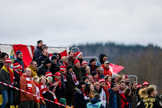 Spectators in the stands
