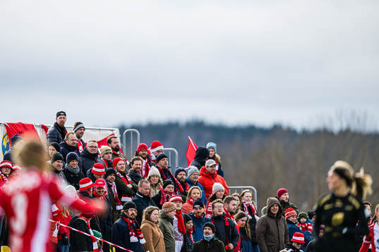 Spectators in the stands