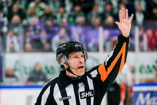Domare Tobias Björk