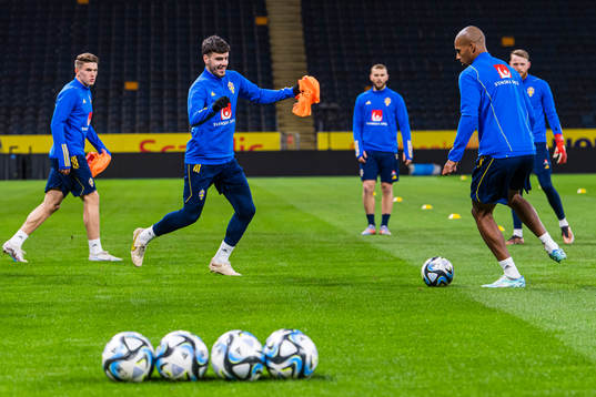 Edvin Kurtulus of the Swedish national football team