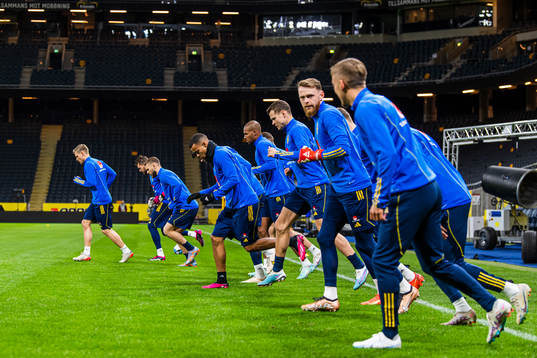 Players of the Swedish national football team