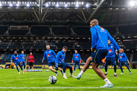 Players of the Swedish national football team