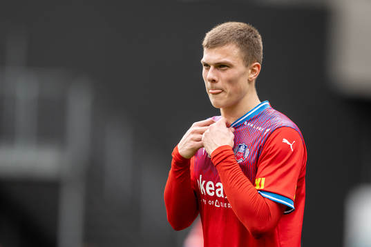 Helsingborgs Erik Ring