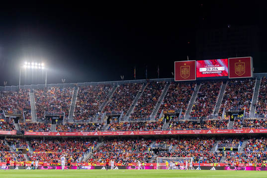 General view of La Rosaleda Stadium