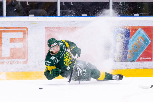 Björklövens Gerry Fitzgerald
