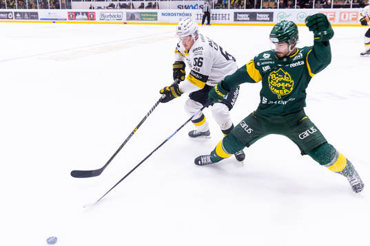 Västerås Alexander Lindelöf och Björklövens Gustav
