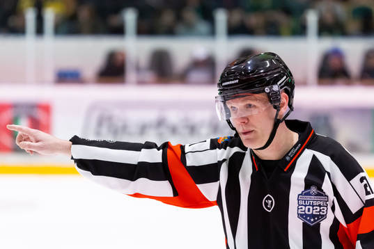 Domare Anders Sandahl