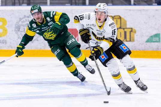 Västerås Zeteny Hadobas