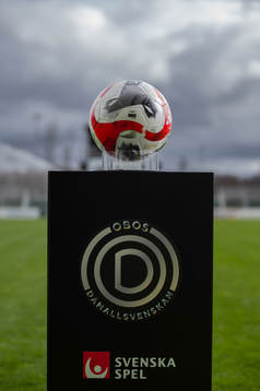 Fotbollsboll