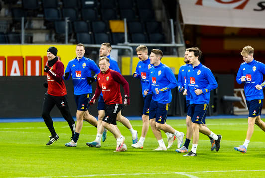 Swedish national football team warming up