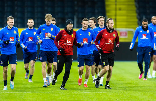 Swedish national football team warming up