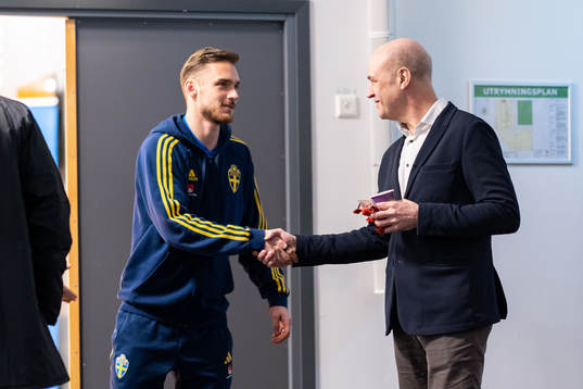 In this handout picture from the Swedish Football
