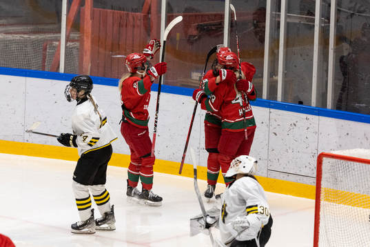 under finalen i U-20-cupen i ishockey mellan Modo och AIK