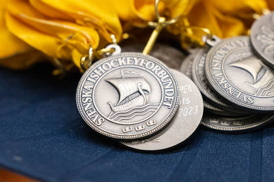 Ishockeyförbudets medaljer