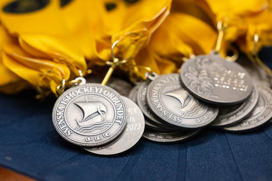 Ishockeyförbudets medaljer