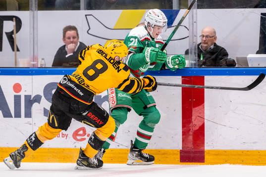 Skellefteås Petter Granberg och Rögles Daniel Ljungman