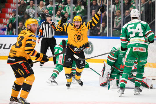 Skellefteås Rickard Hugg jublar