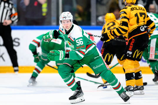 Rögles Adam Engström