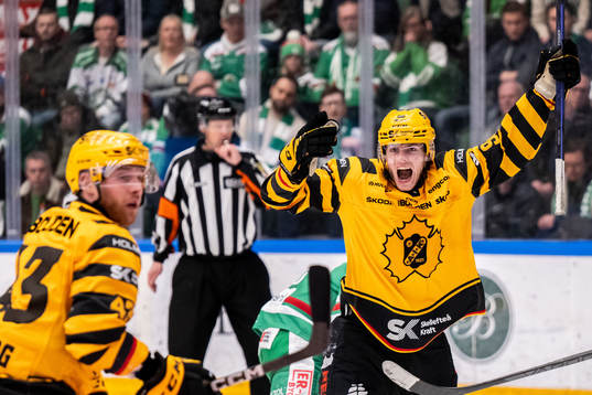 Skellefteås Rickard Hugg jublar