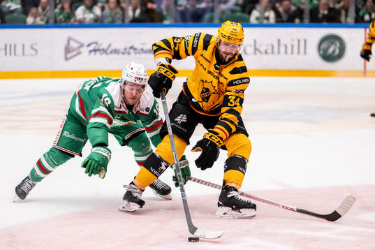 Skellefteås Tom Kühnhackl och Rögles Valtteri Viljanen