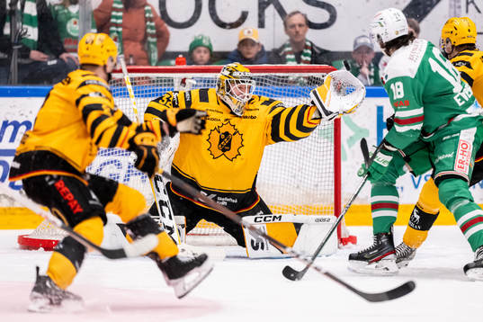 Skellefteås målvakt Linus Söderström