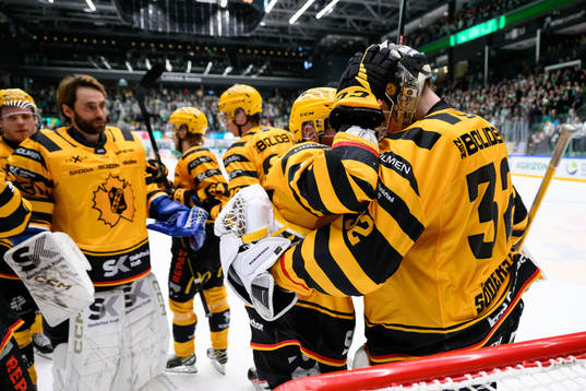 Skellefteås spelare jublar