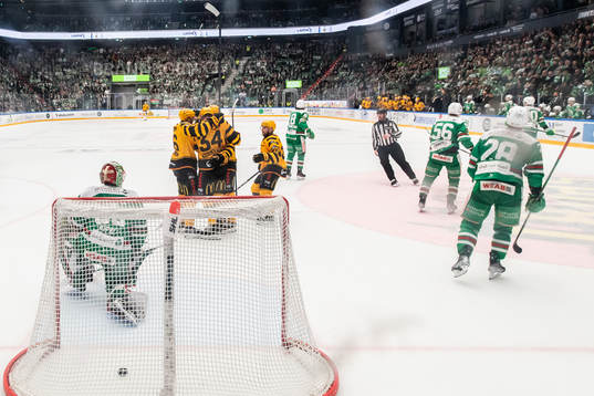 Skellefteås spelare jublar