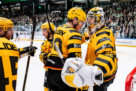 Skellefteås Albin Sundsvik och målvakt Linus Söderström