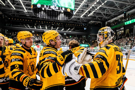Skellefteås Linus Högberg, Rickard Hugg och målvakt