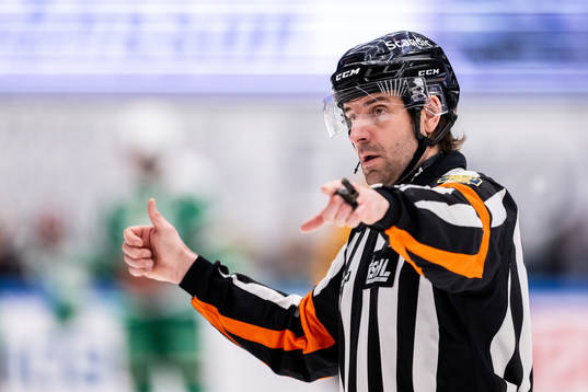 Domare Mikael Sjöqvist