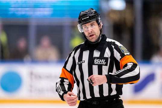 Domare Mikael Sjöqvist
