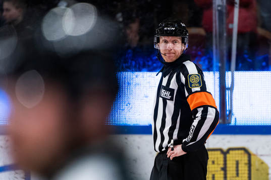 Domare Mikael Holm
