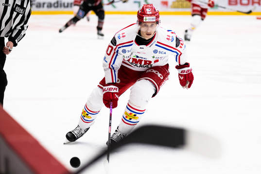 Timrås Robin Alvarez