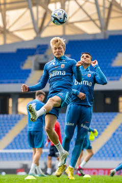 Birger Meling and Mohamed Elyounoussi of the Norwegian