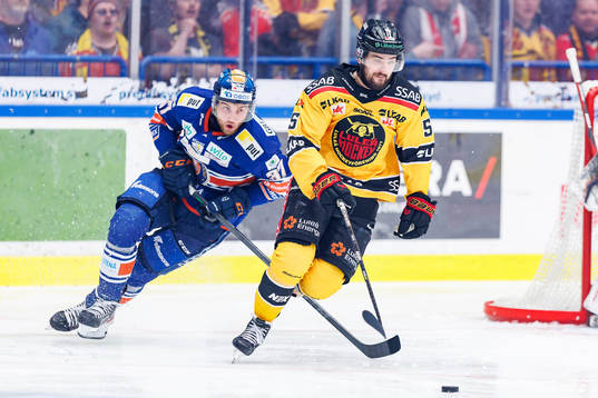 Växjös Glenn Gustafsson och Luleås Filip Pyrochta