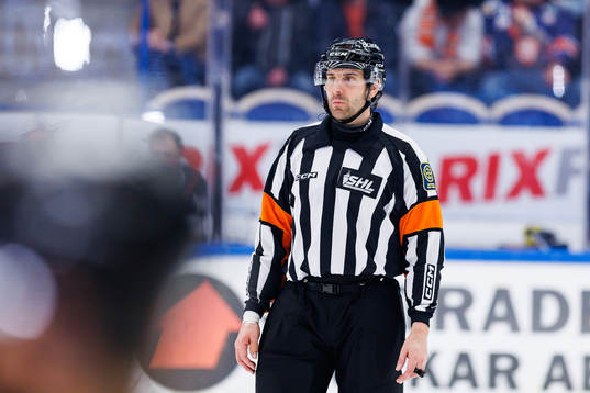 Domare Mikael Sjöqvist