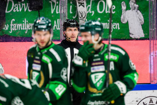 Domare Linus Öhlund