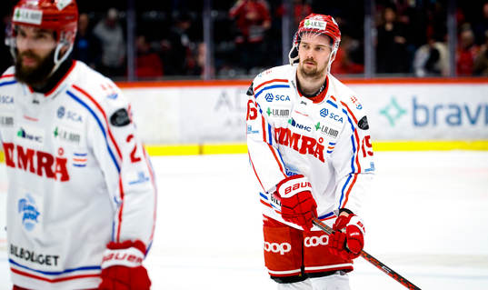 Timrås Panu Mieho
