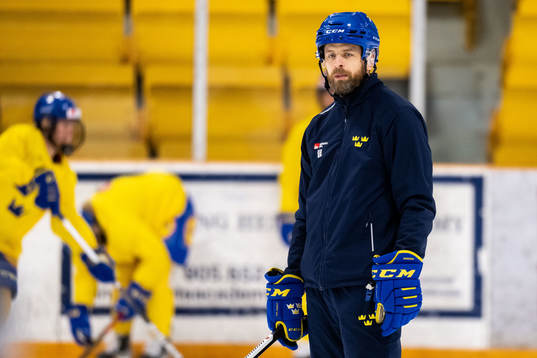 Head coach Ulf Lundberg of Sweden at a practice session