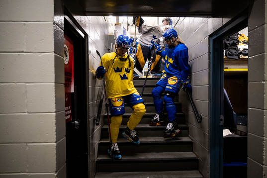 Players of Sweden at a practice session