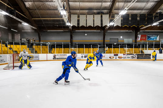 Players of Sweden at a practice session