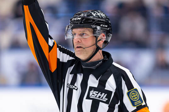 Domare Mikael Nord